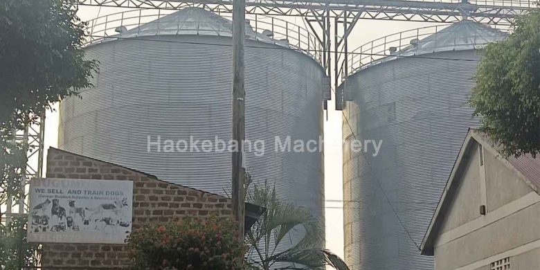 peanut grain silo process